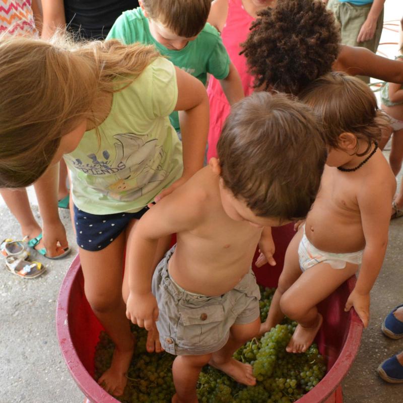 BIOTOUR BREGOLATO - 04/09/2016, TORREGLIA, PADOUE