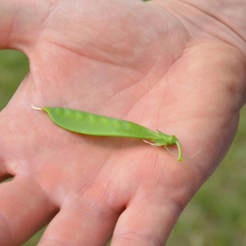 BIOTOUR THE RESTEL - 13/05/2018 - OPPEANO, VÉRONE