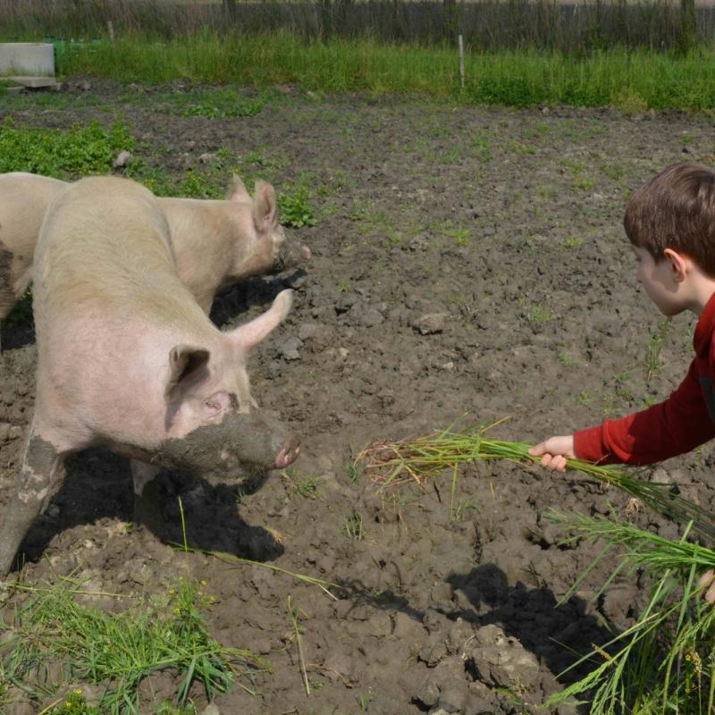 BIOTOUR LE SALINE - 10/04/2016, AGNA, PADOUE