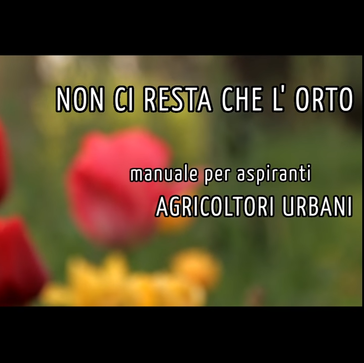 Il ne nous reste que le potager