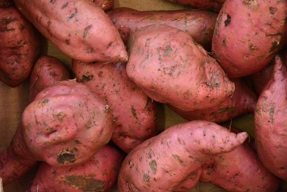 EXOTIQUE... CULTIVÉ SUR PLACE !