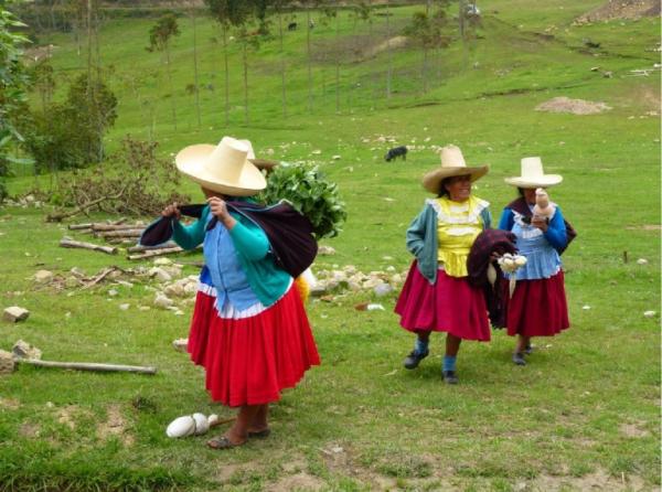 COMMERCE RESPONSABLE DE PRODUITS ÉTRANGERS