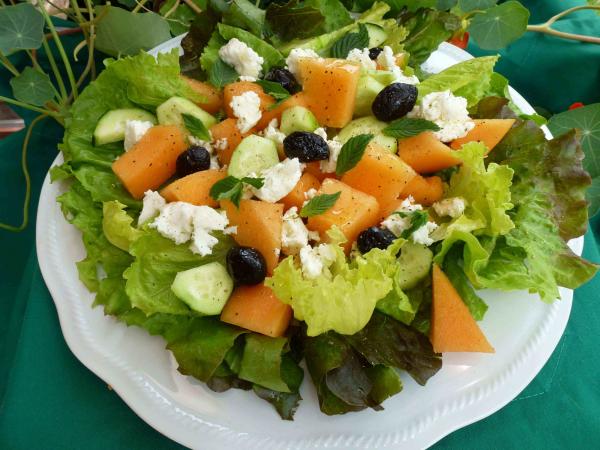 SALADE DE CUCURBITOSA