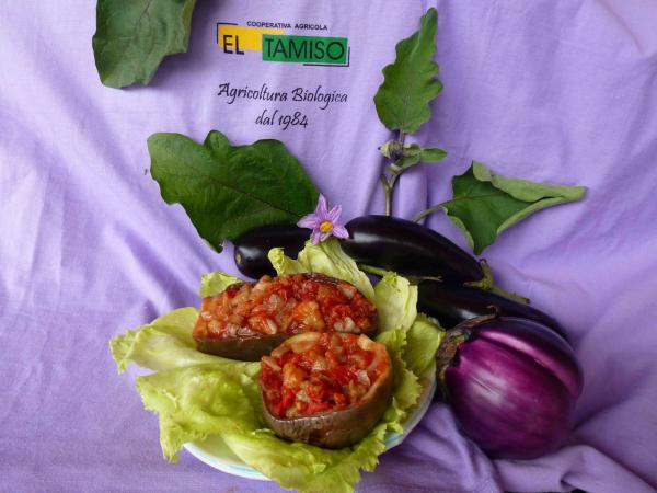 AUBERGINES RECHARGÉES