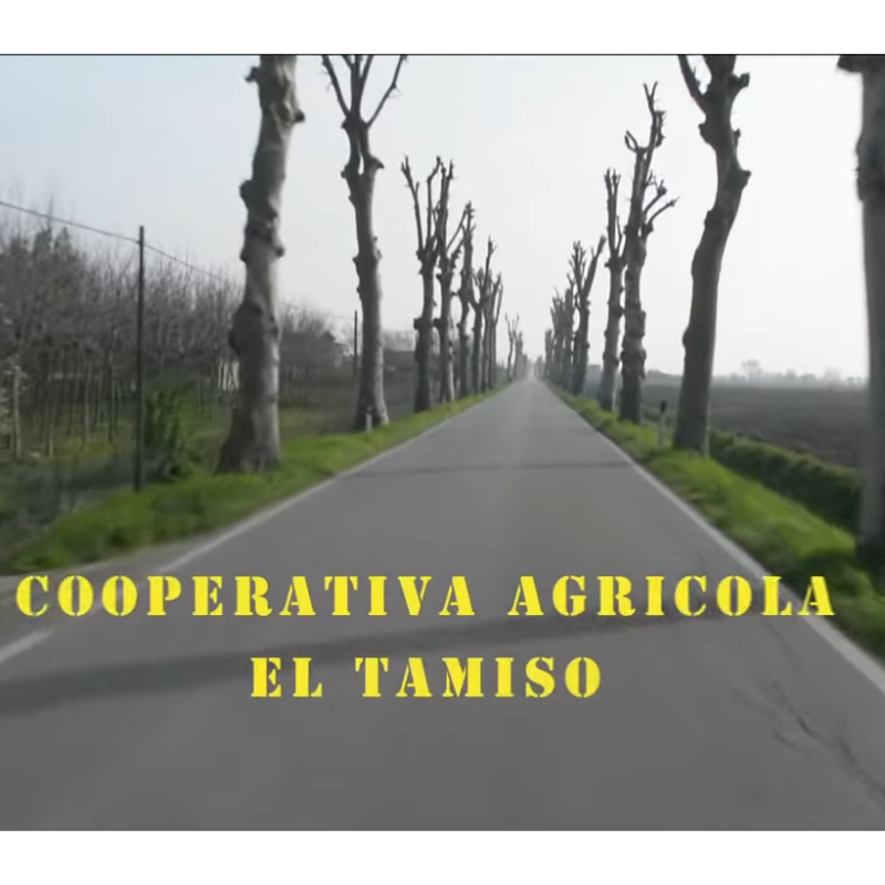 i trent'anni della cooperativa