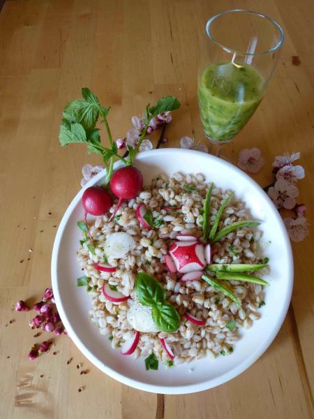 INSALATA DI FARRO CON SALSA AL BASILICO