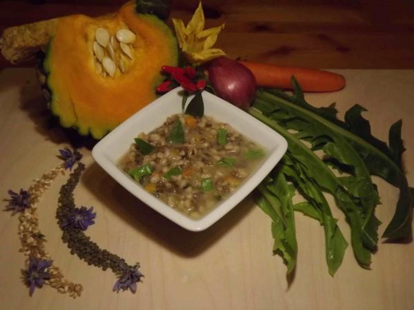 STUFATO DI FARRO E CICORIA