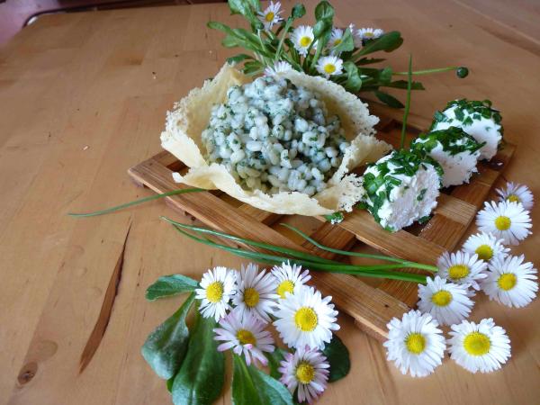 ORZOTTO ALL’ORTICA E CAPRINO DI CIPOLLINA