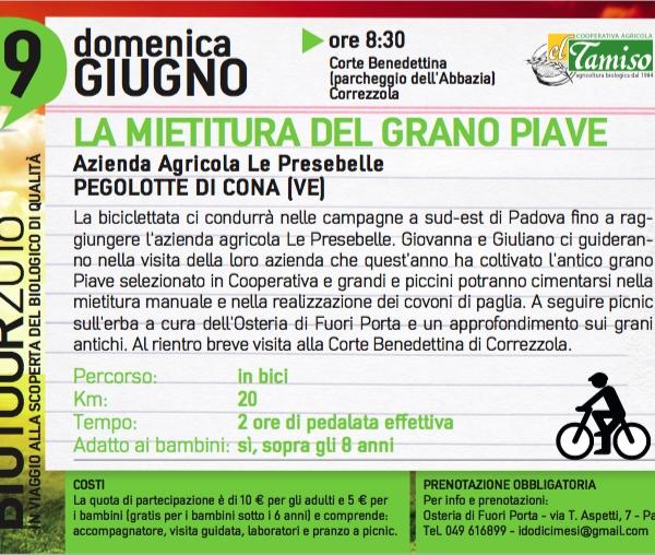 Biotour 2016: domenica 19 giugno - La mietitura del grano Piave