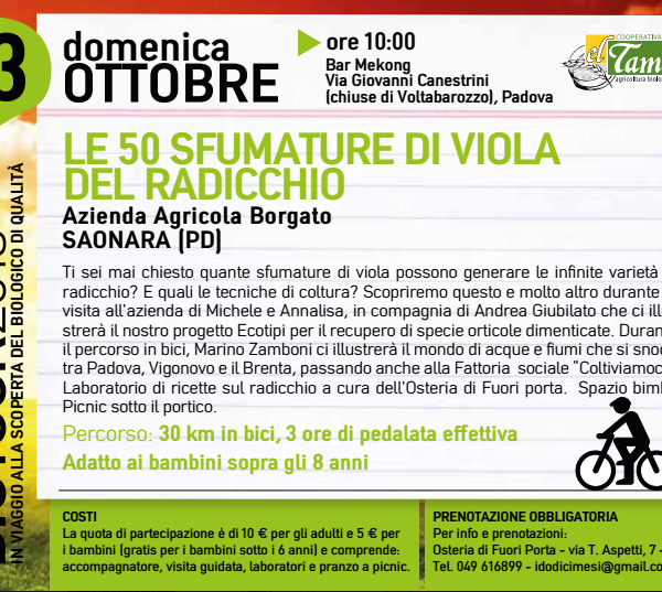 CICLOTOUR: LE 50 SFUMATURE DI VIOLA DEL RADICCHIO!