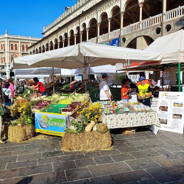 El Biologico in Piassa 2023, El Tamiso c'è!