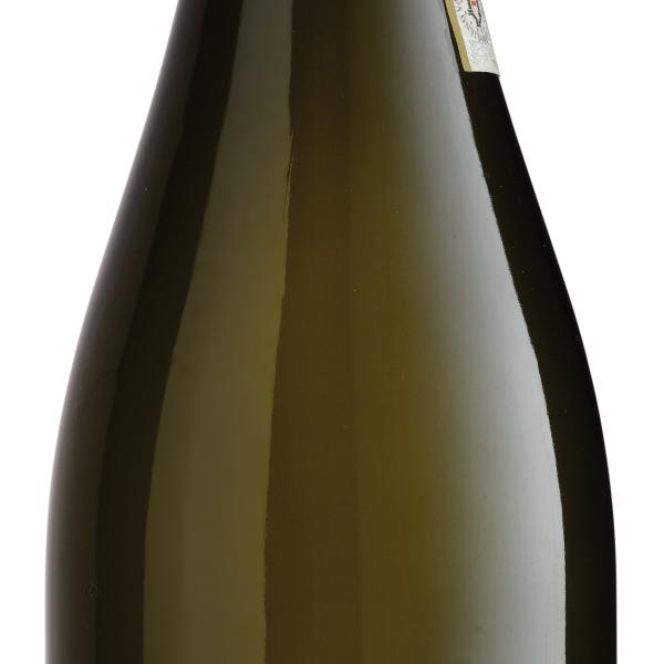 Il Prosecco Bio arriva in cooperativa!