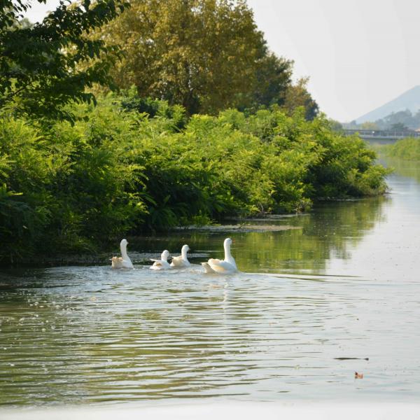 Biotour 2018 - I campi visti dall'acqua