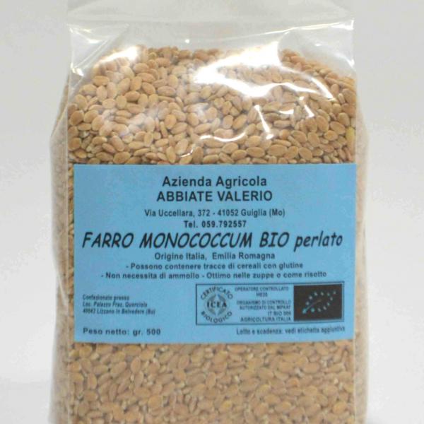 M0917 - Farro monococco perlato