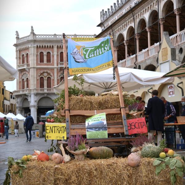 I nostri soci a El Biologico in Piassa