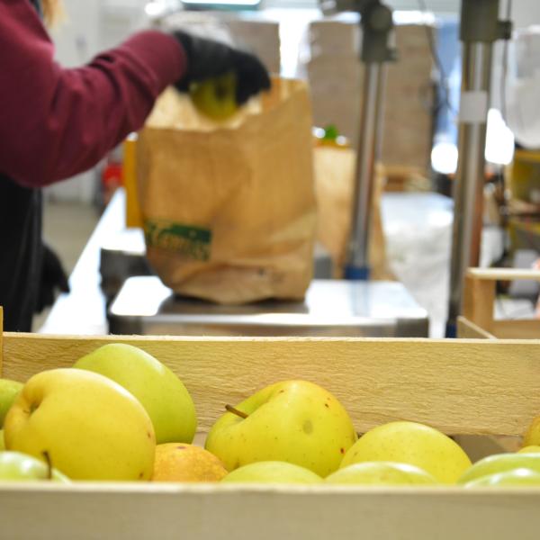L'ESTETICA DEL CARRELLO: QUANDO LA BELLEZZA CONTA PIÚ DEL SAPORE (E DEL PIANETA)