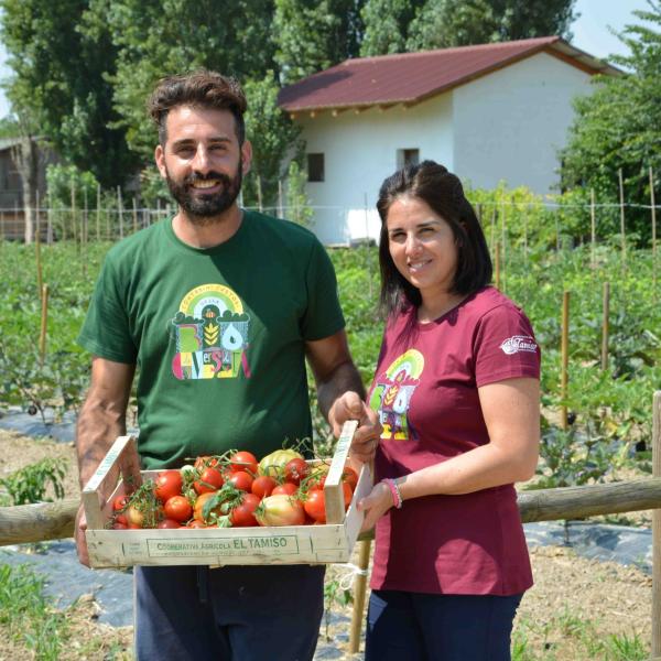 Società Agricola Al Frassino