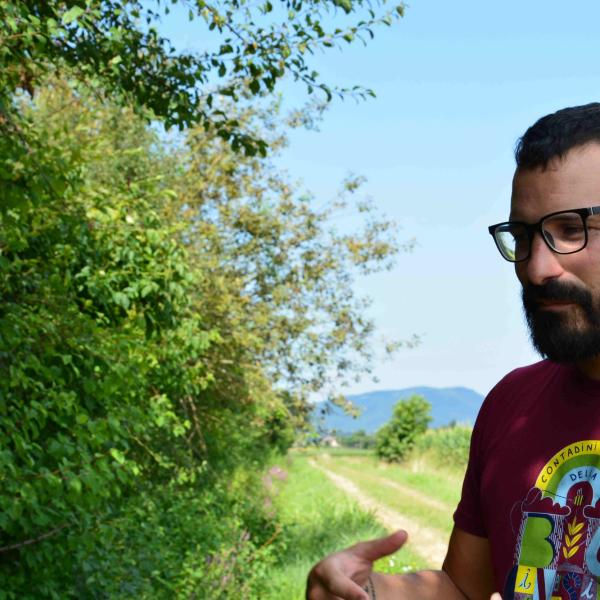 Il Ciuffo Verde