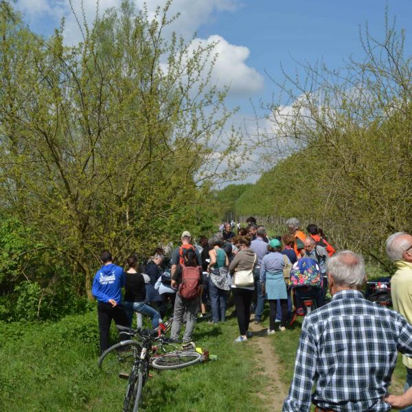 Biotour 2016: 10 Aprile, alla ricerca di erbe spontanee