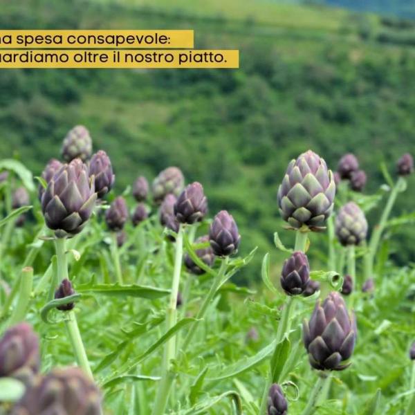 RESIDUO ZERO: COSA VUOL DIRE