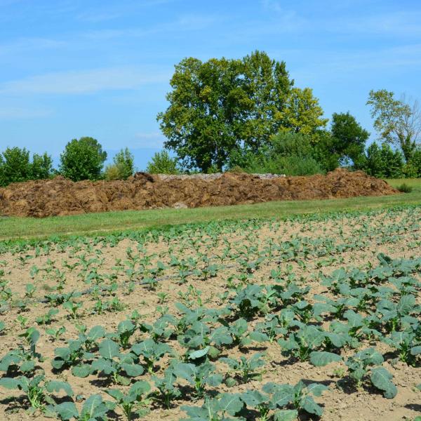 Humus, per  la Terra! Forum a Bologna