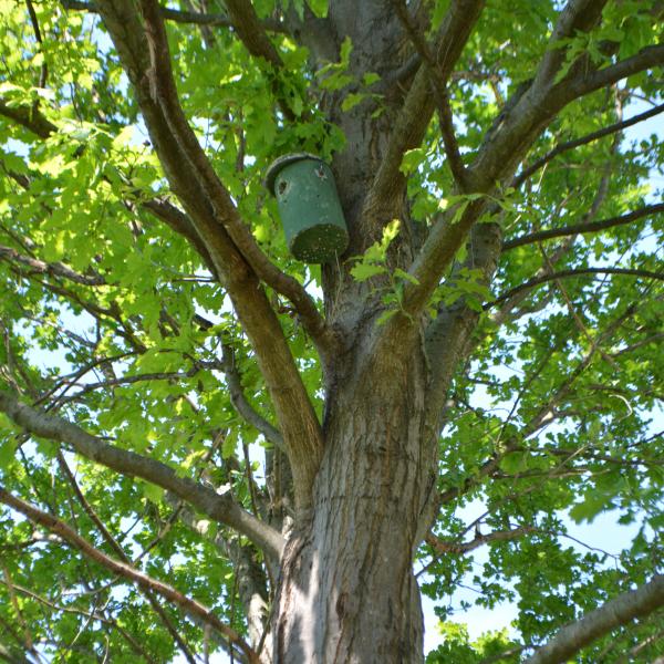 WowNature ed El Tamiso, un abbinamento naturale!