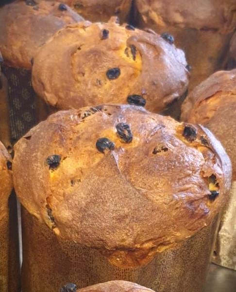 Il panettone El Tamiso: biologico, cotto a legna...buonissimo!