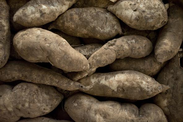Bontà di stagione: la batata