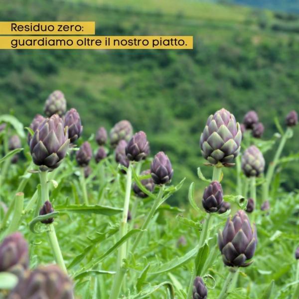 RESIDUO ZERO: COSA VUOL DIRE