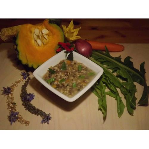 Cooperativa Agricola El Tamiso - SPELT AND CHICORY STEW