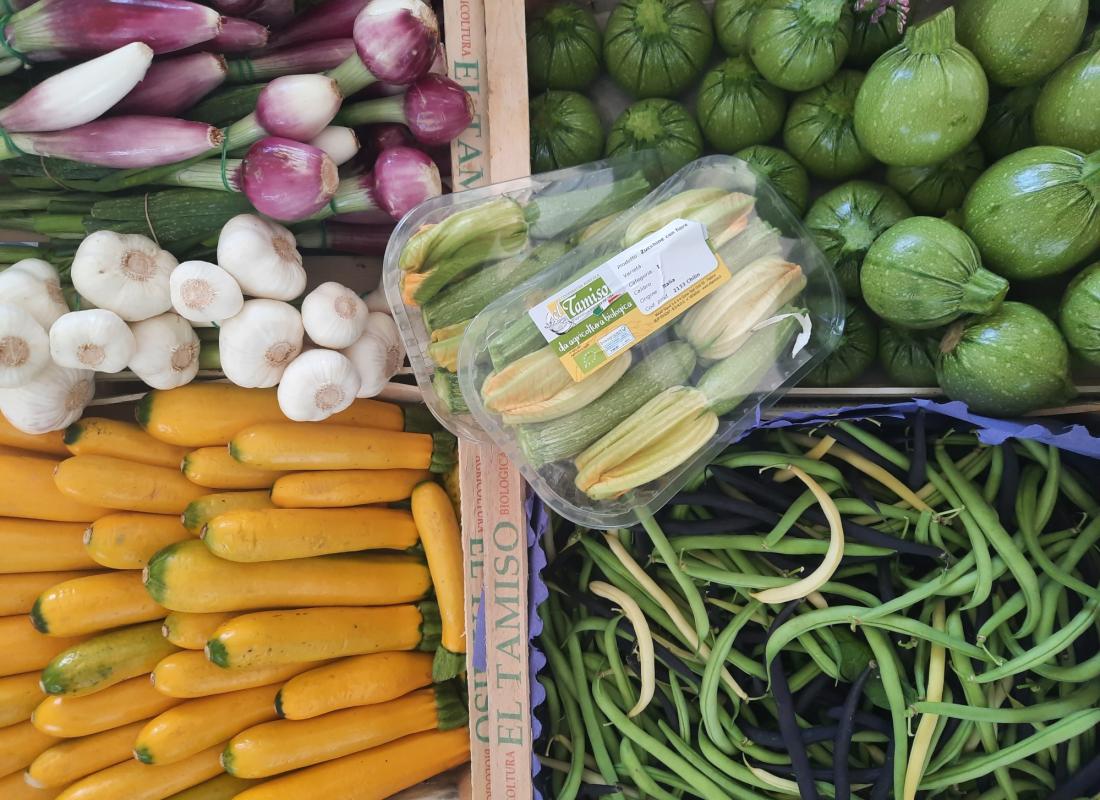 ZUCCHINE