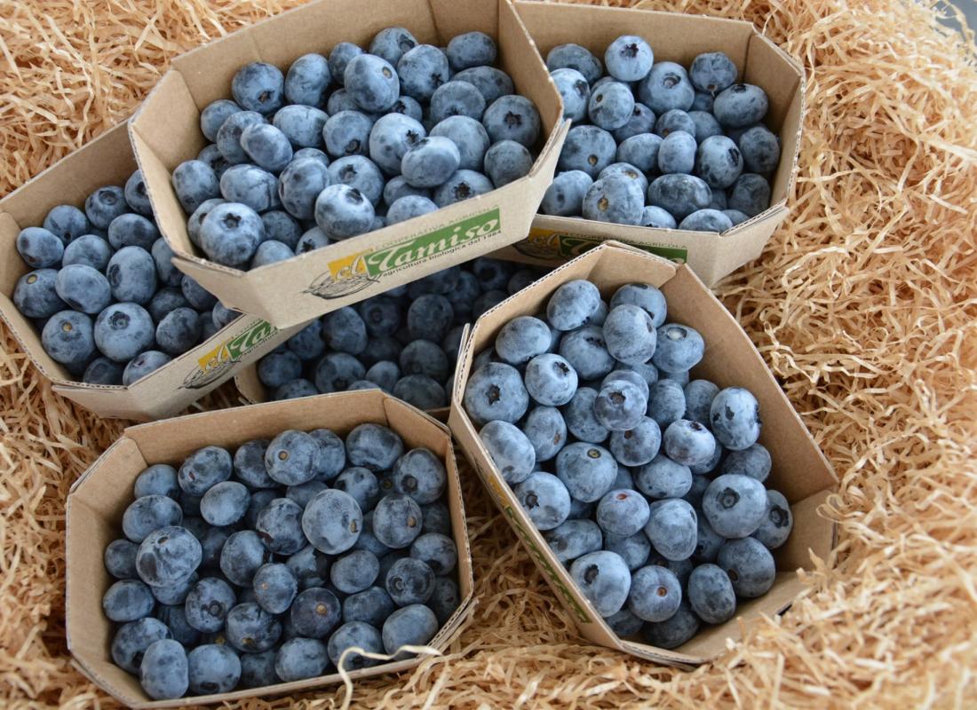 RIBES E MIRTILLI