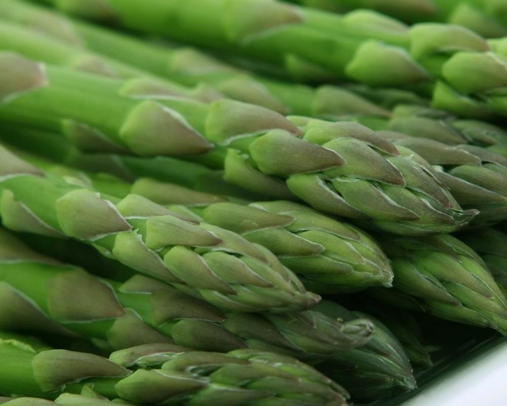 ASPARAGI El Tamiso