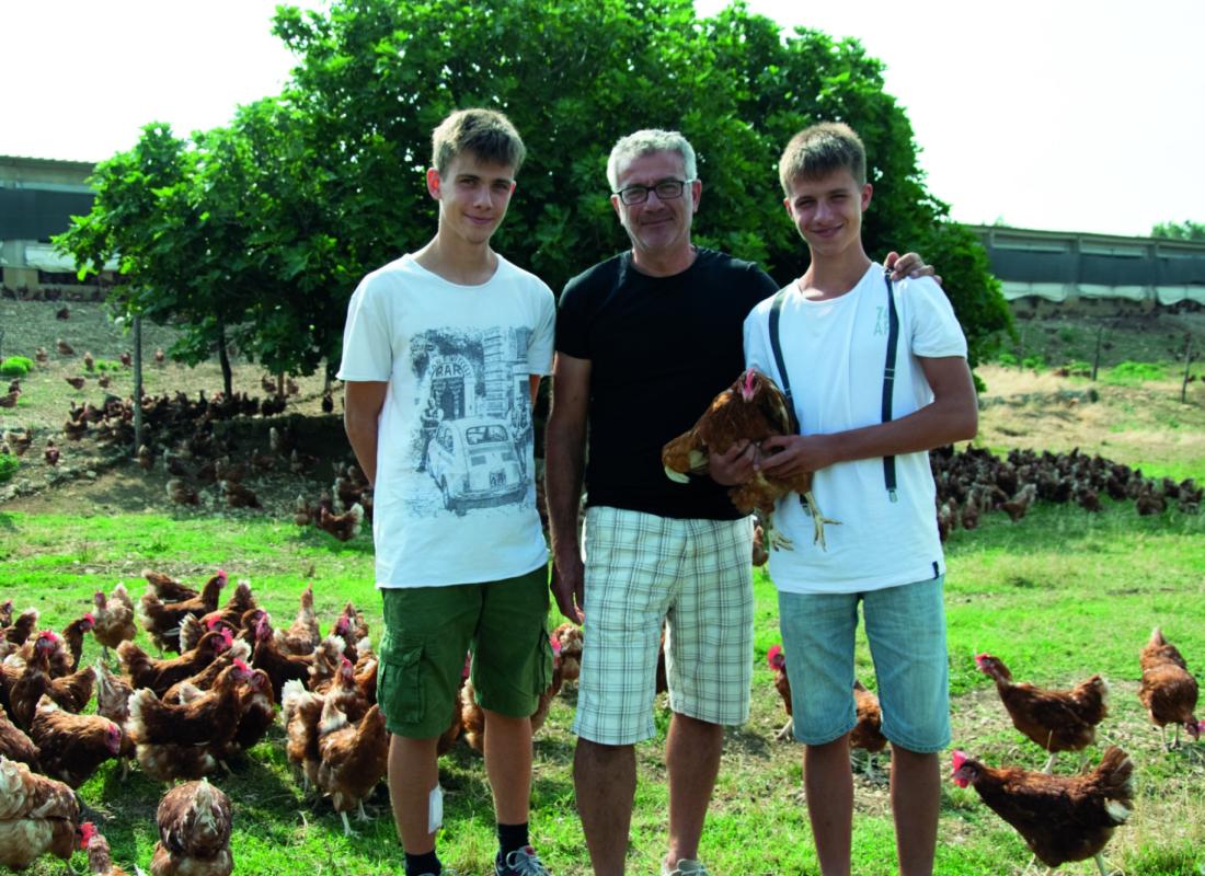 Uova di Collina
