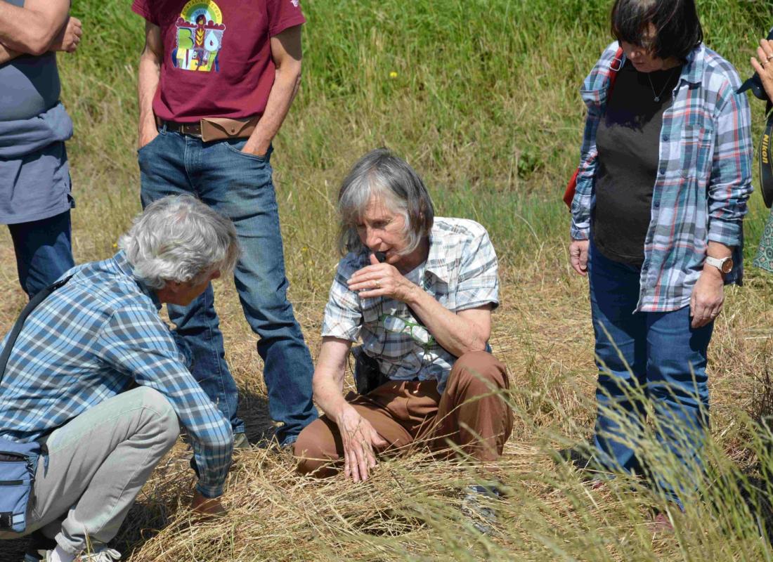 Il Riso El Tamiso: Biodistretto del Riso Piemontese