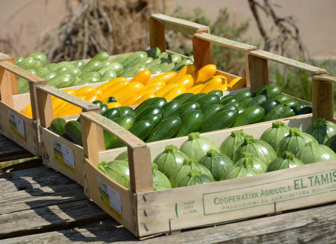 ZUCCHINI