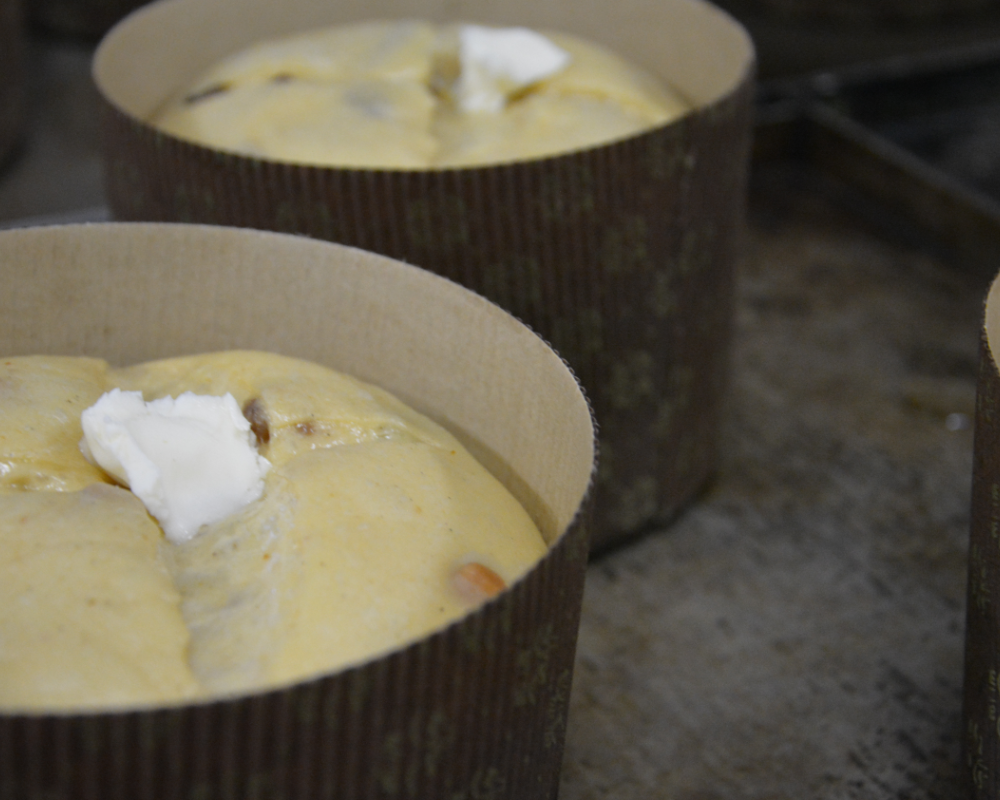 IL PANETTONE CHE RISPETTA LA TERRA