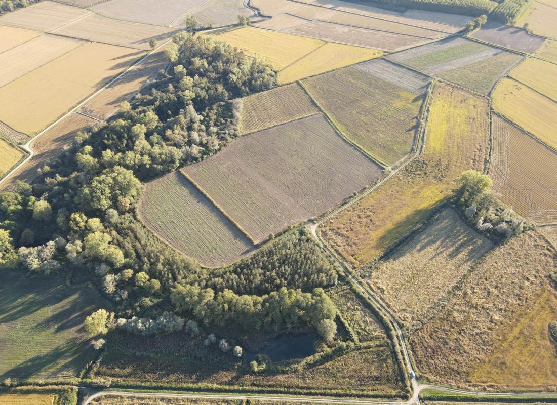 Il Riso: Biodistretto del Riso Piemontese