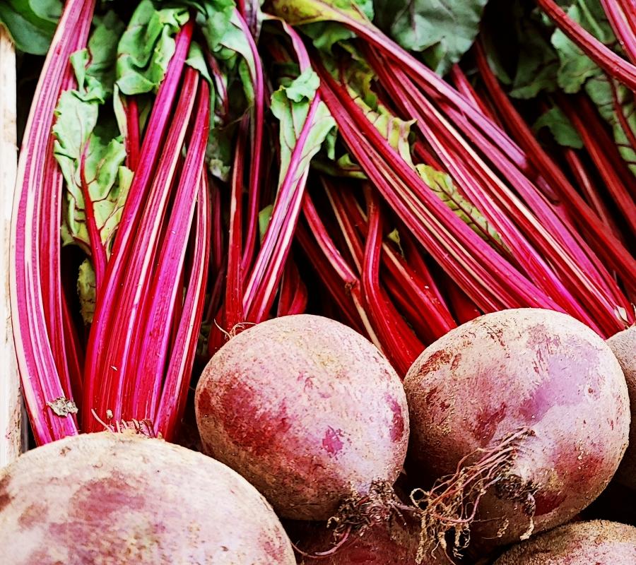 RAPE ROSSE E DI CHIOGGIA