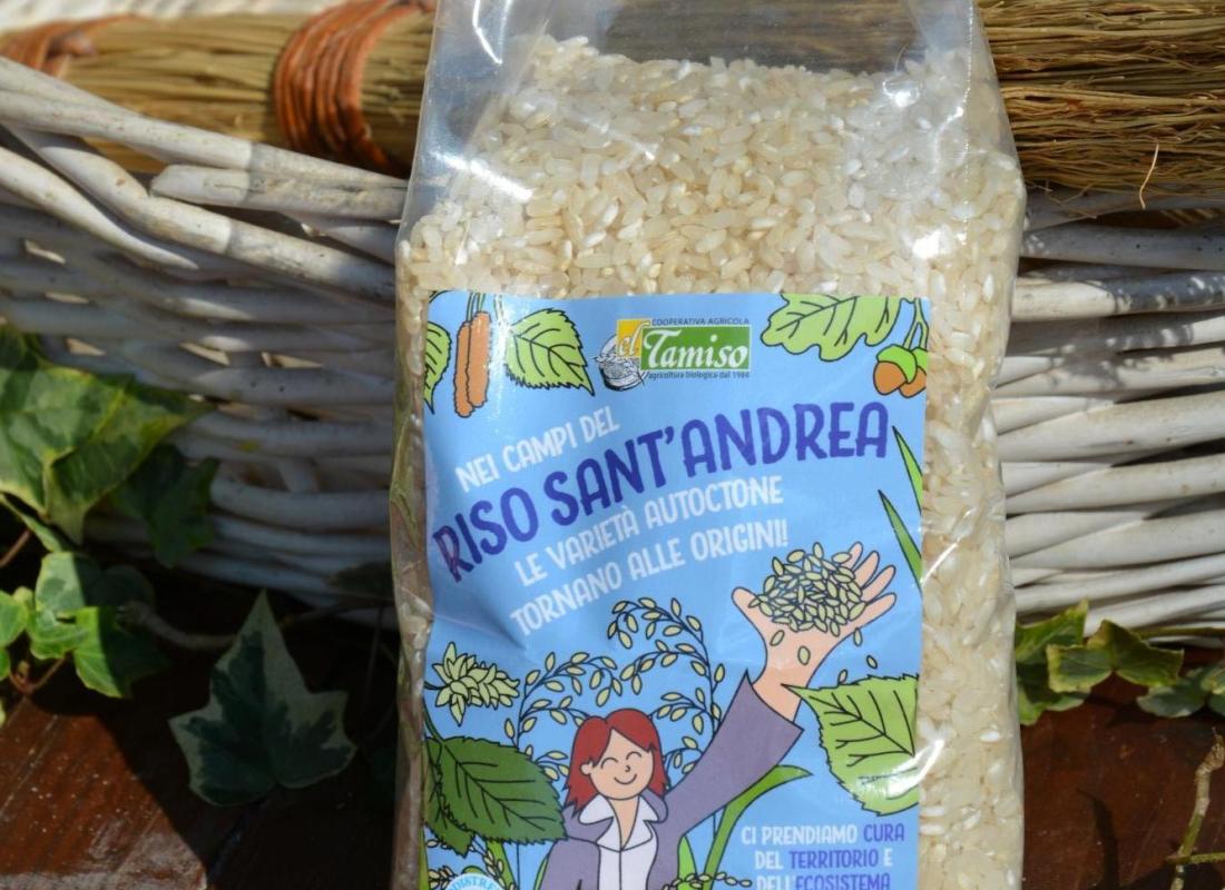 Il Riso: Biodistretto del Riso Piemontese