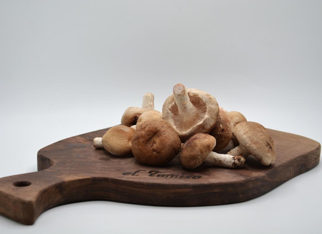 SHIITAKE-PILZE