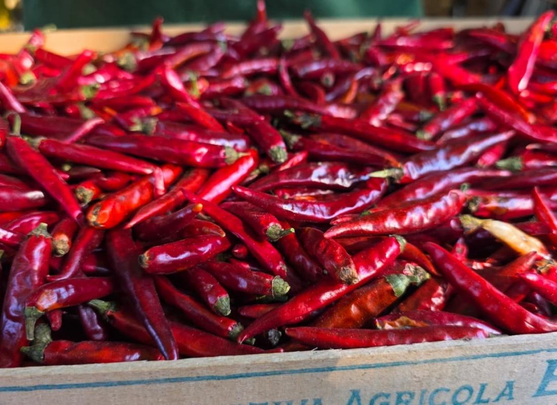 Piment de Cayenne