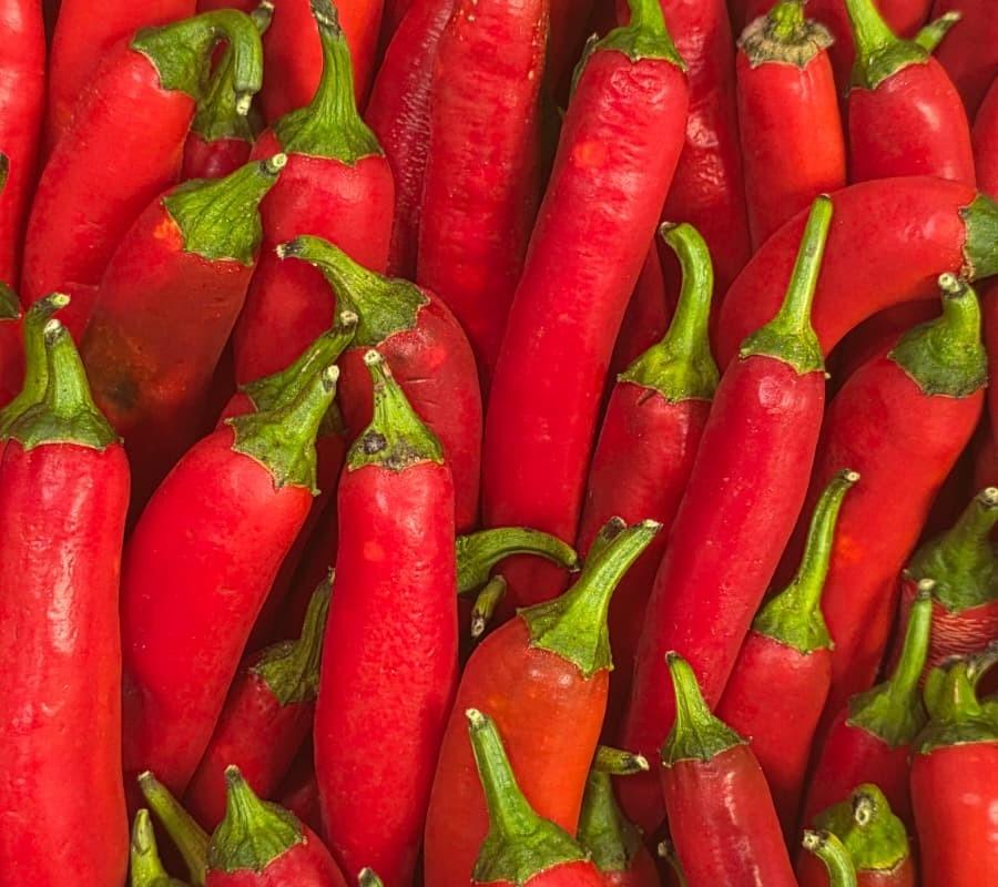 Piment de Cayenne