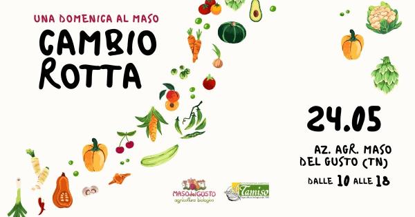 CAMBIO ROTTA