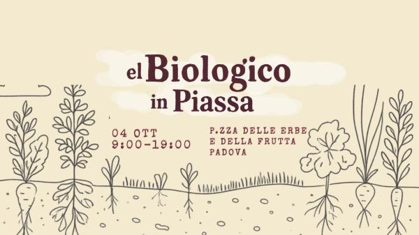 El Biologico in Piassa