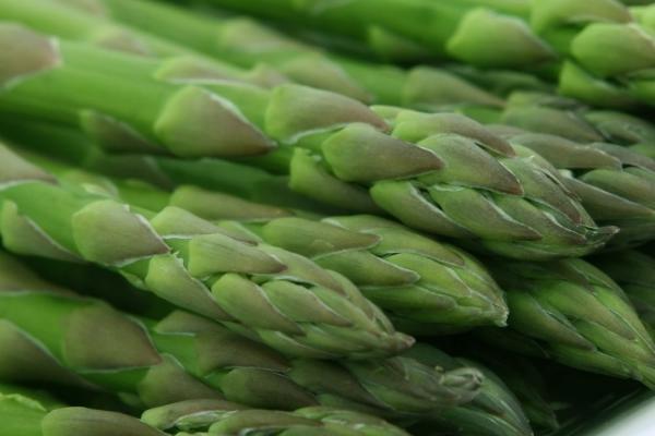 ASPARAGI El Tamiso