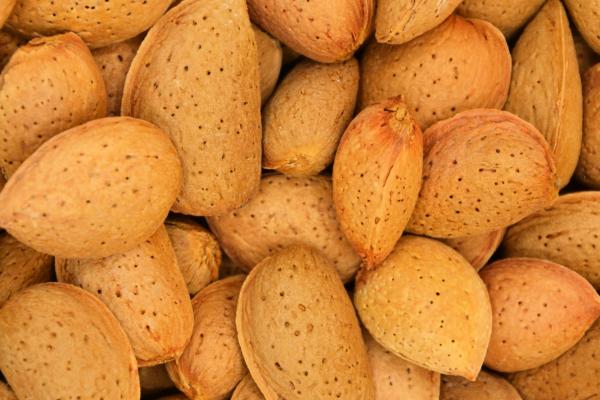 Sweet Almond