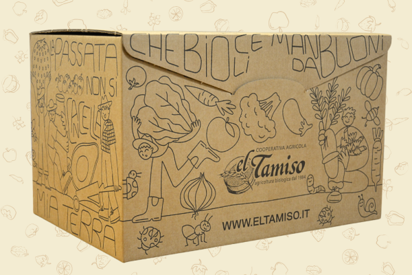 BOX El Tamiso