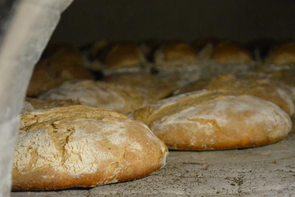 Dal chicco di grano al pane: la nostra filiera!