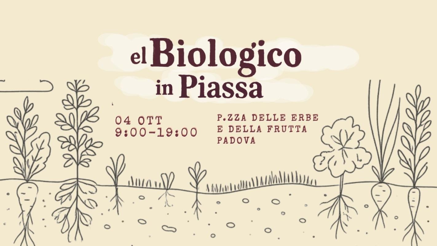 Biologico in piassa